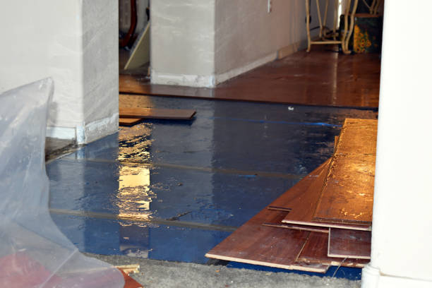 Professional Burst Pipe Cleanup technician working in Stanton, KY